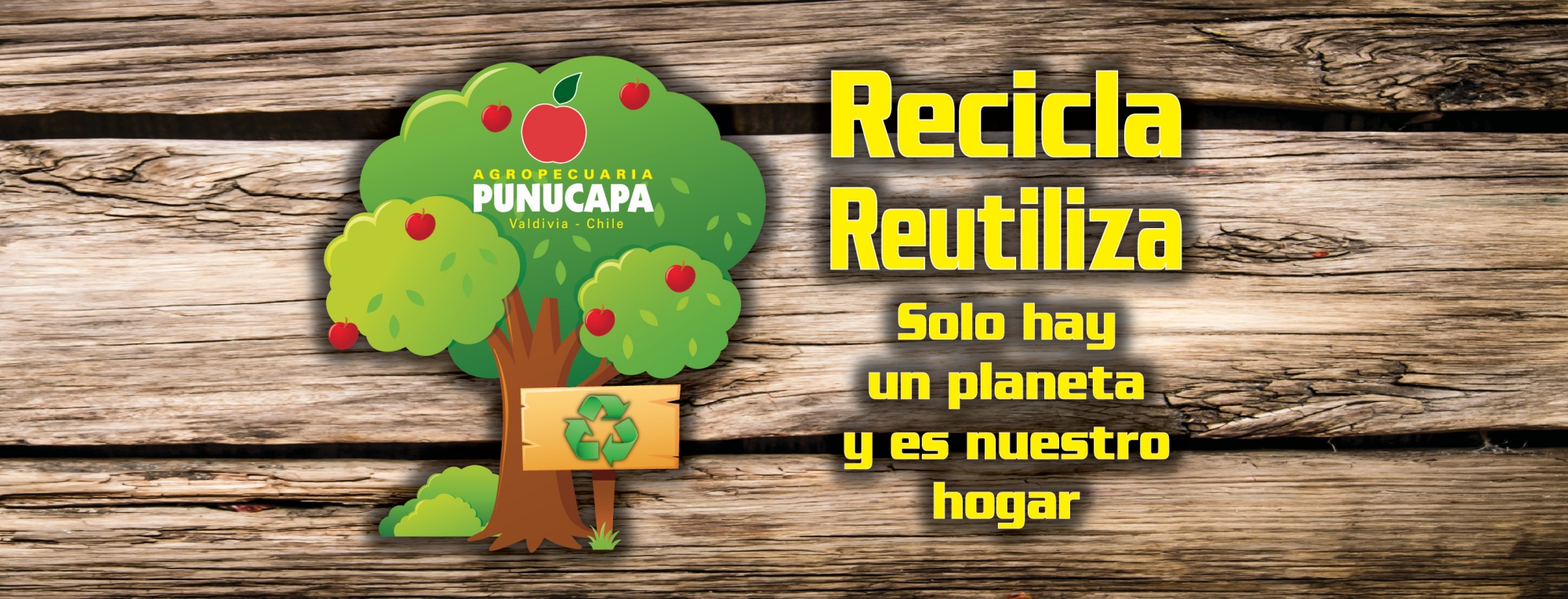 Recicla